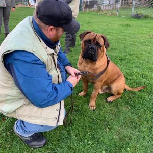 Kynologisch Instructeur